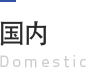 国内 Domestic