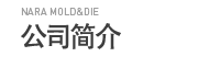公司简介