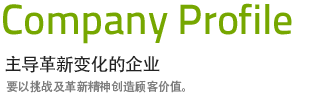 Company 主导革新变化的企业