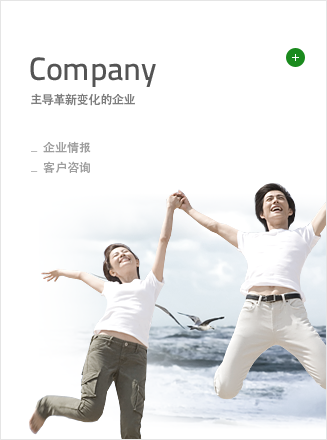 Company 主导革新变化的企业