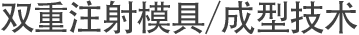 双重注射模具/成型技术