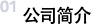 <a href='/chn/company/overview.php' >公司简介</a>