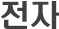 전자