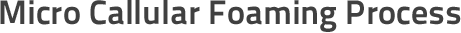 Micro Callular Foaming Process