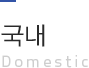국내 Domestic