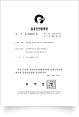 특허 제 10-1048625 호